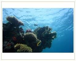 Slider image (10) PrimaDent Dental Center